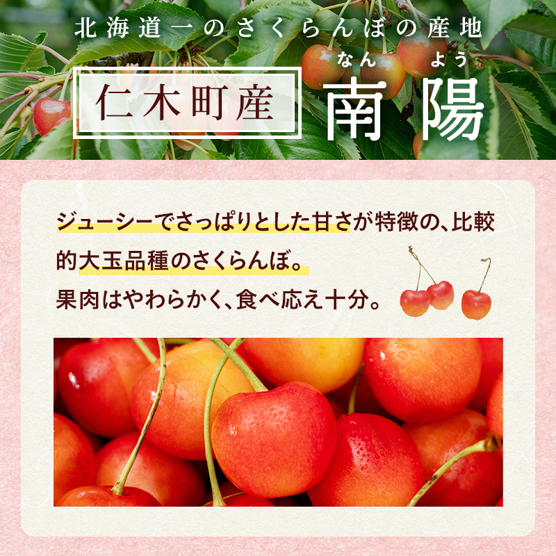 北海道 仁木町産 さくらんぼ 南陽 400g×2P Lサイズ  サクランボ 果物 フルーツ チェリー