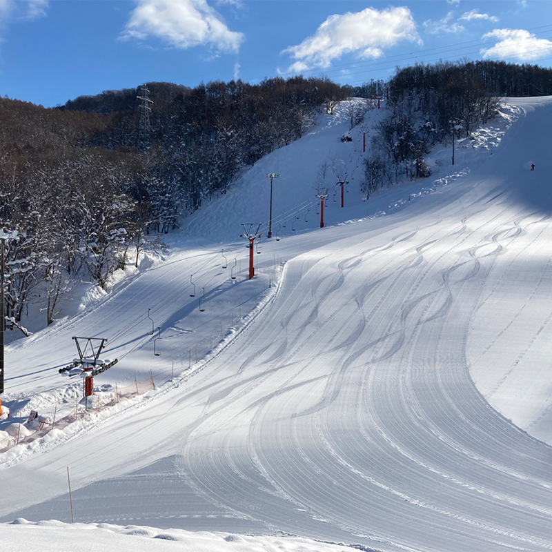 北海道仁木町 寄附のみの応援受付 1,000円コース（返礼品なし 寄附のみ 1000円）