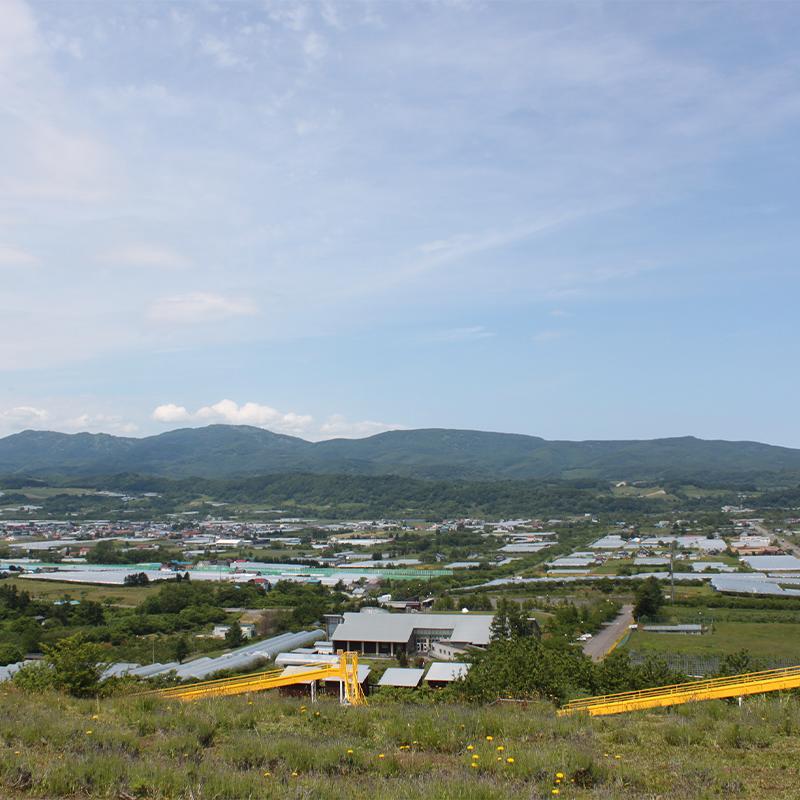 北海道仁木町 寄附のみの応援受付 3,000円コース（返礼品なし 寄附のみ 3000円）