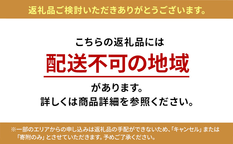 数量限定 北海道 仁木町産 甘く色鮮やか さくらんぼ 佐藤錦 600g 鶴田農園