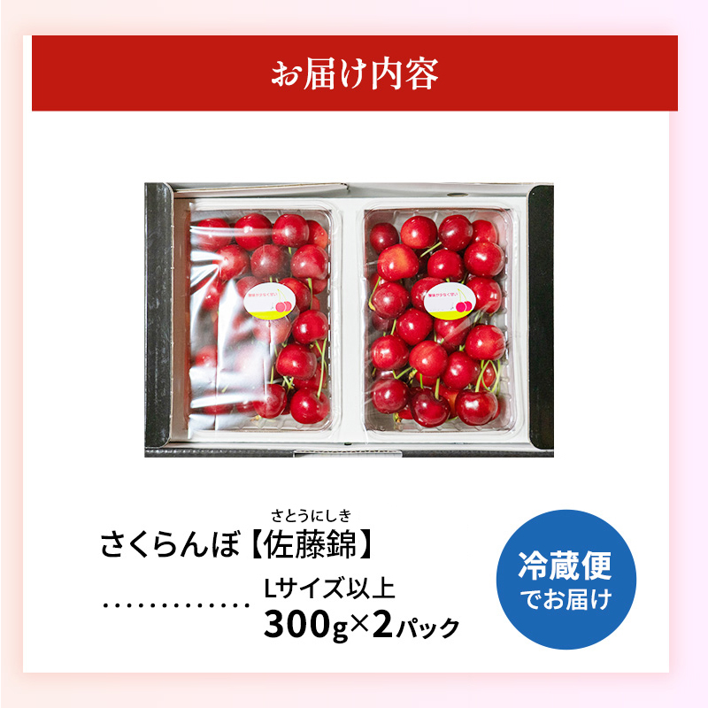 先行受付 2025年7月から順次出荷 北海道 仁木町産「匠」 さくらんぼ 【 佐藤錦 】300g×2 嶋田茂農園