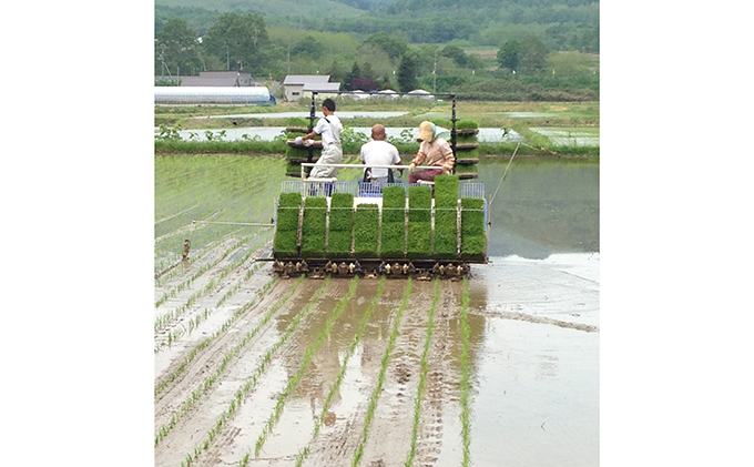 北海道 仁木町産 紅果園の産直米 特別栽培 ゆめぴりか 5kg お米 米 ご飯 ごはん こめ コメ 精米 白米 弁当 おにぎり