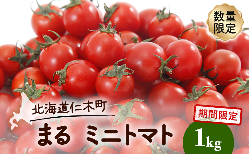 北海道 仁木町 期間限定 数量限定 まる ミニトマト 1kg トマト