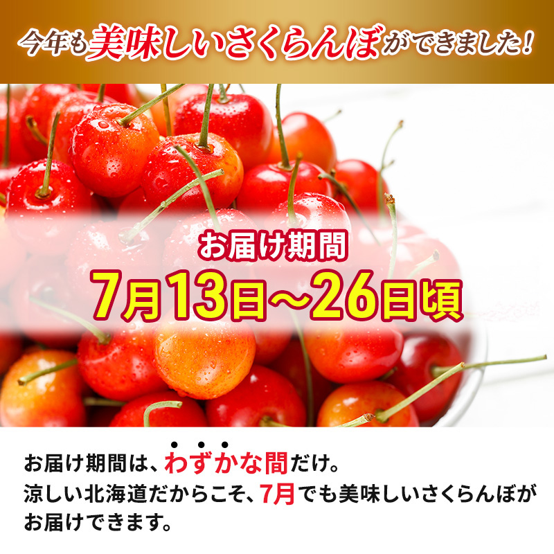 北海道 仁木町産 サクランボ 紅秀峰 300g 厳選品  松山商店