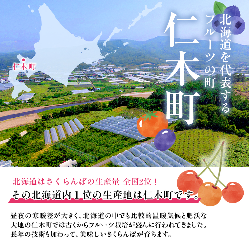 [先行受付] さくらんぼ 農園厳選 佐藤錦 サクランボ Lサイズ以上 300g 品質：ギフト向け フルーツ チェリー 果物 ギフト 北海道 仁木町 仁木