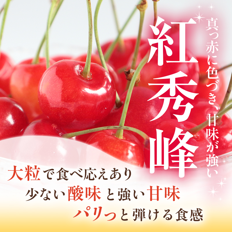 [先行受付] 農園厳選 さくらんぼ 紅秀峰 2Lサイズ 以上300g（品質： ギフト 向け）