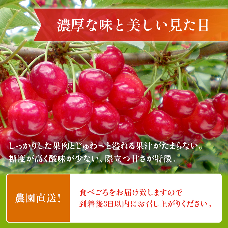 [先行受付] 農園厳選 さくらんぼ 紅秀峰 2Lサイズ 以上300g（品質： ギフト 向け）