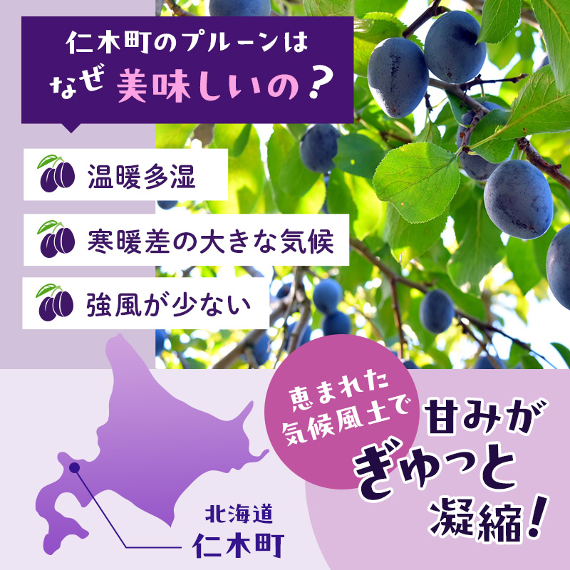 [先行受付/2025年] 仁木町の採れたて「サンプルーン」2kg［妹尾観光農園］【 北海道 仁木 果物 フルーツ プルーン 】