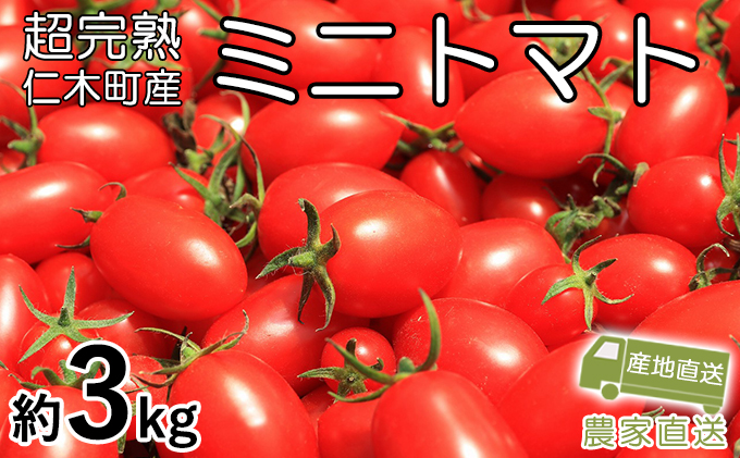 超完熟ミニトマト【アイコ】大満足のたっぷり3kg - ふるさとパレット