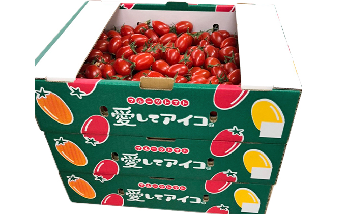 北海道仁木産ミニトマト【愛してアイコ】9kg