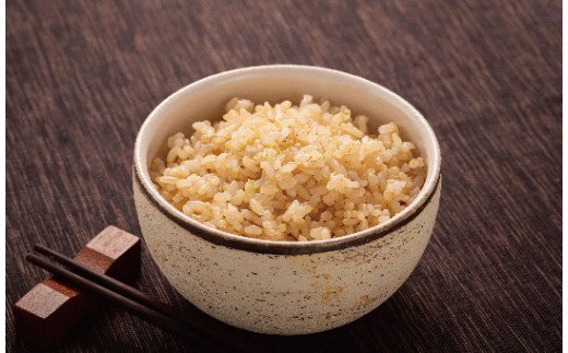 令和5年産 特Aランク米 食べ比べセット 玄米 10kg（ゆめぴりか・ななつぼし各5kg）雪冷気 籾貯蔵 北海道 雪中米