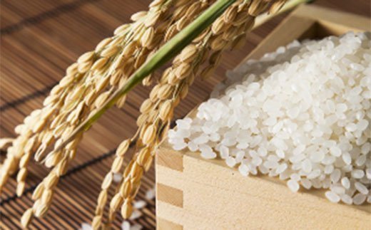 令和5年産 特Aランク米 食べ比べセット 無洗米 10kg（ゆめぴりか・ななつぼし各5kg）雪冷気 籾貯蔵 北海道 雪中米