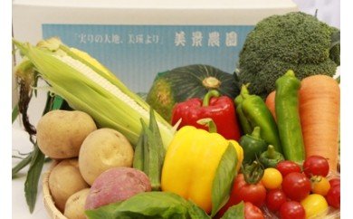 [042-04]美景農園　令和５年産　野菜の定期便（４回）