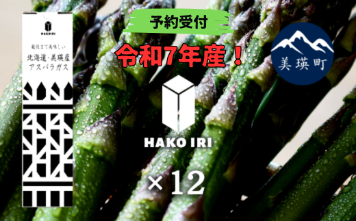 令和７年産！ 幻のアスパラ ラスノーブルHAKOIRI「畑発・冷蔵庫のドアポケット行」×12箱　墫乃字[083-01]