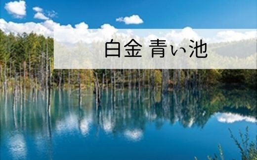 027 03 ピエマネージ 美瑛のランチョンマット１枚 プチホテルピエ 宿泊券付き ふるさとパレット 東急グループのふるさと納税