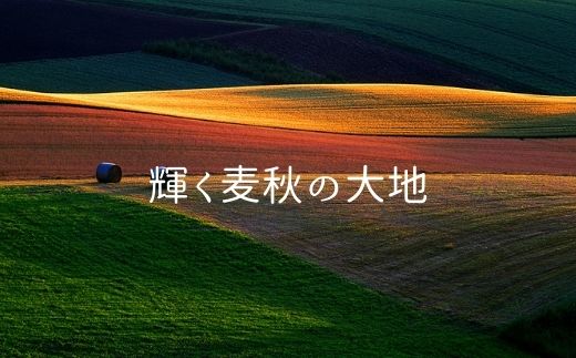 [020-03]写真家　菊地晴夫　額付き写真
