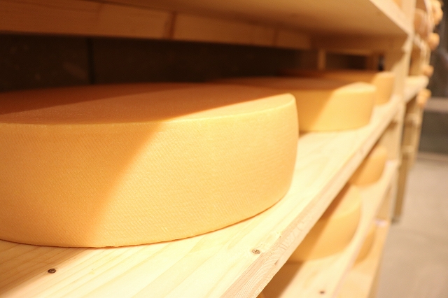 [037-09]美瑛放牧酪農場　ラクレットチーズ　クオーターサイズ