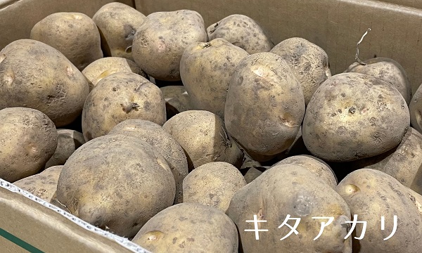 [012-124]美瑛選果　美瑛町産　男爵・キタアカリセット10kg	