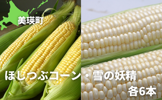 黒木農場 令和６年産 とうもろこし（ほしつぶコーン＆雪の妖精）各6本