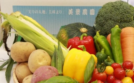 [058-01]美景農園　令和６年産　野菜の定期便（６回）