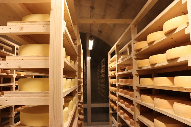 [037-09]美瑛放牧酪農場　ラクレットチーズ　クオーターサイズ