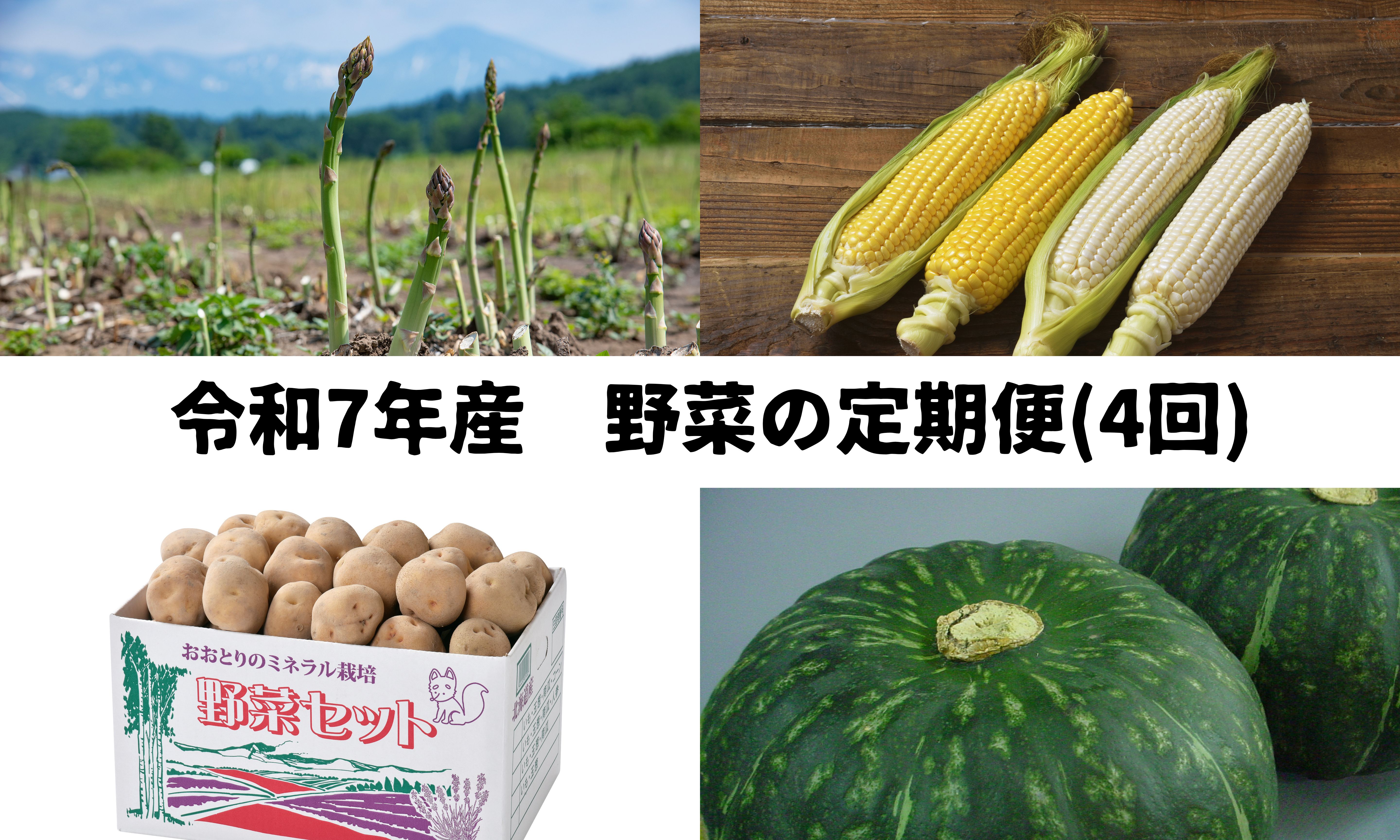 ≪令和7年産予約受付!≫おおとり 野菜の定期便(4回)[053-06]