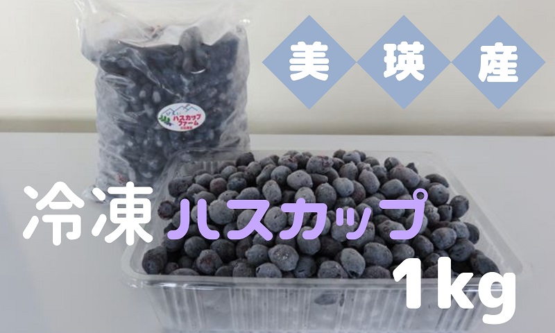 [016-48]びえいハスカップファーム　美瑛産冷凍ハスカップ1ｋｇ