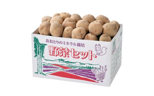 ≪令和７年産予約受付！≫おおとり　野菜の定期便（４回）[053-06]