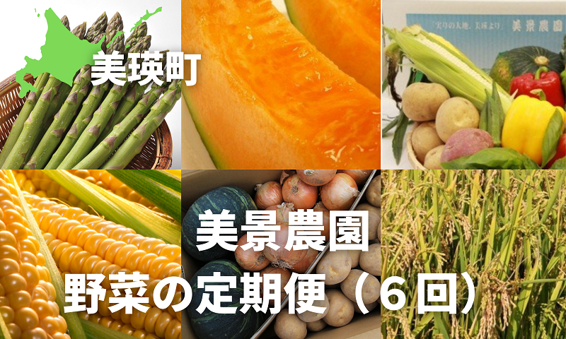 ≪令和７年産予約受付！≫美景農園　野菜の定期便（６回）[080-28]