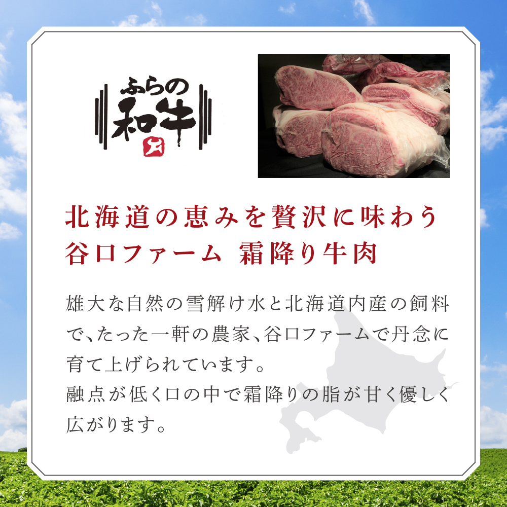 【農林水産大臣賞受賞】 ふらの和牛【霜降りサーロイン】すき焼きセット480g（3～4人用）≪梅≫