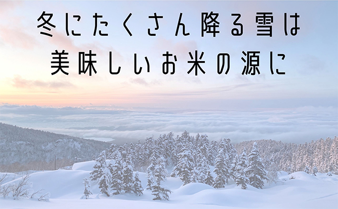 ◆6ヶ月連続定期便◆ななつぼし 精米 5kg /北海道 上富良野産 ～It's Our Rice～ 