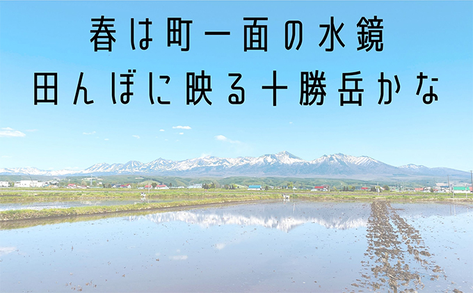 ゆめぴりか 精米 5kg /北海道 上富良野産 ～It's Our Rice～