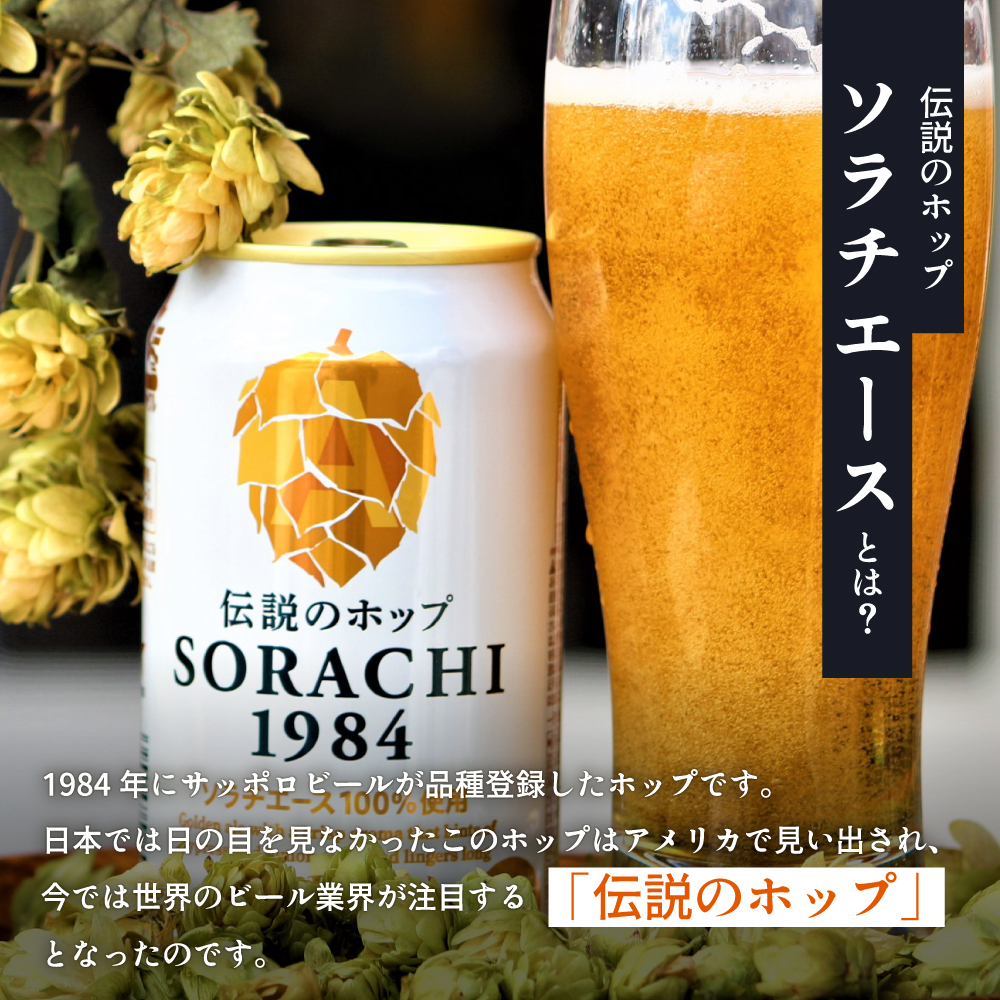 ◆3ヵ月連続お届け定期便◆SORACHI 1984 2箱（350ml×24缶） 株式会社 ヤマイチ 北海道 上富良野町 ソラチ1984 お酒 酒 飲み物 ビール 地ビール サッポロビール サッポロ ギフト