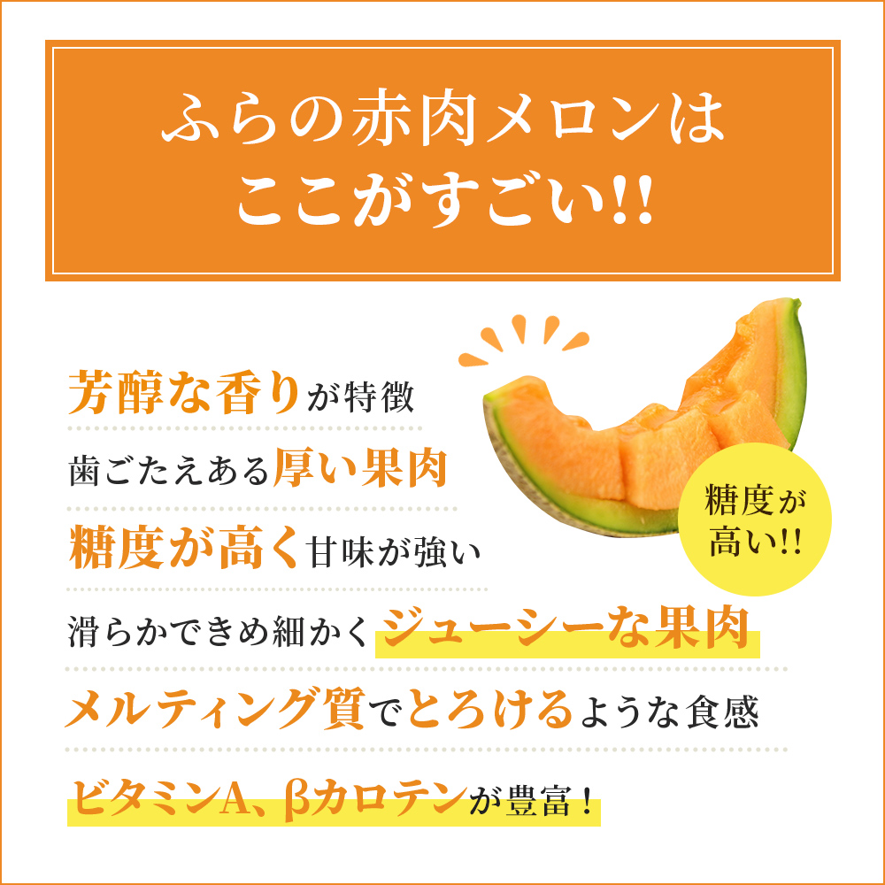 【 2025年発送 先行予約 】定期便 3ヶ月 ふらの 赤肉メロン 厳選 秀品 Lサイズ 1.6kg～1.99kg 2玉 セット ファーム富良野 メロン 果物 フルーツ 富良野 デザート 北海道