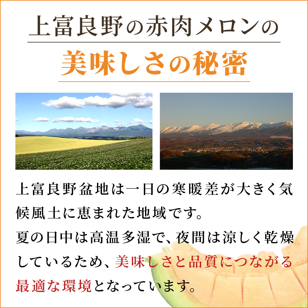 【 2025年発送 先行予約 】定期便 3ヶ月 ふらの 赤肉メロン 厳選 秀品 Lサイズ 1.6kg～1.99kg 2玉 セット ファーム富良野 メロン 果物 フルーツ 富良野 デザート 北海道