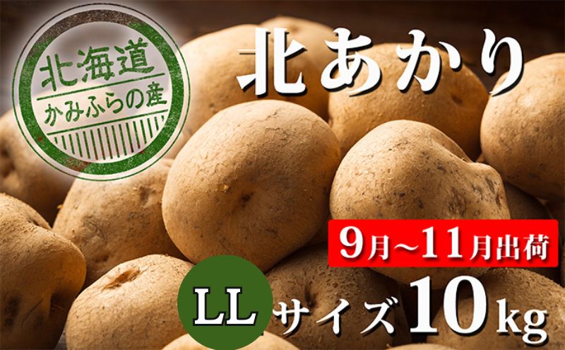 【 2025年 発送 】 先行予約 北海道 上富良野 産地直送 じゃがいも 北あかり LL 約 10kg  常温 発送 きたあかり ジャガイモ 芋 ポテト 野菜  