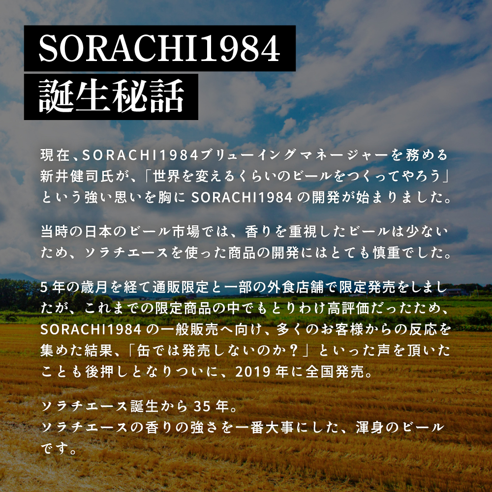 ◆3ヵ月連続お届け定期便◆SORACHI 1984 2箱（350ml×24缶） 株式会社 ヤマイチ 北海道 上富良野町 ソラチ1984 お酒 酒 飲み物 ビール 地ビール サッポロビール サッポロ ギフト