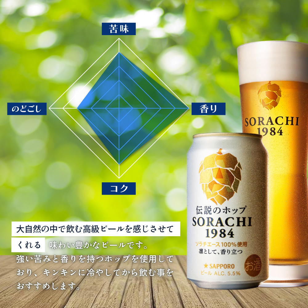 ◆3ヵ月連続お届け定期便◆SORACHI 1984 2箱（350ml×24缶） 株式会社 ヤマイチ 北海道 上富良野町 ソラチ1984 お酒 酒 飲み物 ビール 地ビール