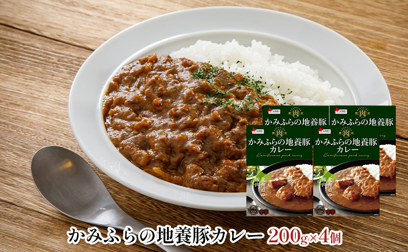 缶ビール(SORACHI1984)8缶＆地養豚カレー4箱セット 北海道 上富良野町 ソラチ1984 地ビール ビール カレー 缶 サッポロビール サッポロ ギフト