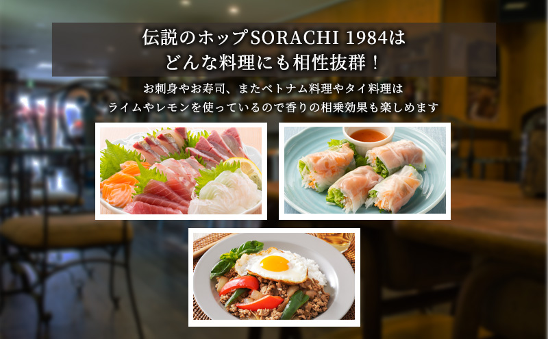 ◆3ヶ月定期便◆上富良野町発祥！伝説のホップ「ソラチエース」使用【SORACHI 1984】350ml×24缶 北海道 上富良野町 ソラチ1984 お酒 酒 飲み物 ビール 地ビール サッポロビール サッポロ ギフト