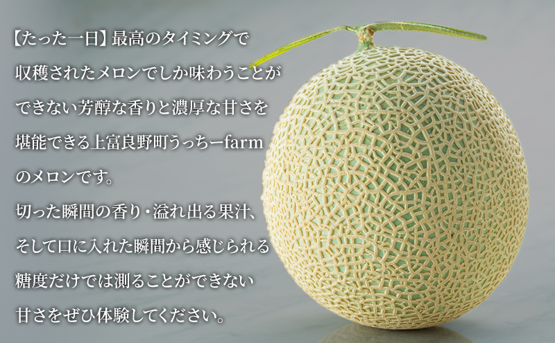 【2024年発送】富良野の高糖度赤肉メロン 1玉 約1.6kg～2.0kg うっちーfarm 北海道 メロン かみふらの フルーツ