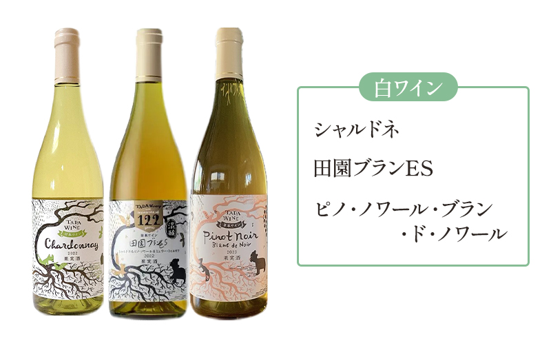 【3ヵ月定期便】野生酵母で醸したワイン 毎月3本お届け (3ヵ月間) 多田ワイナリー 北海道 上富良野町 ワイン 赤ワイン 白ワイン 微発泡ワイン オレンジワイン