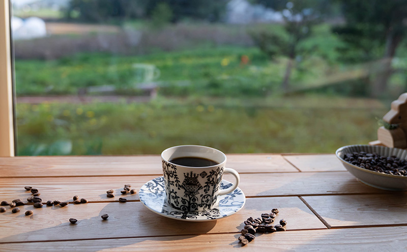 江花珈琲「特別限定セット」 250g×2種 コーヒー コーヒー豆 珈琲豆 北海道 上富良野町