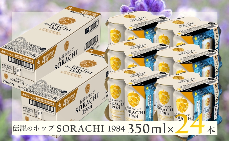 【2ヵ月連続定期便】北海道 上富良野町発祥 伝説のホップ SORACHI 1984 350ml×24缶 ソラチエース使用 サッポロ ビール クラフトビール 酒 アルコール 日用品 お酒