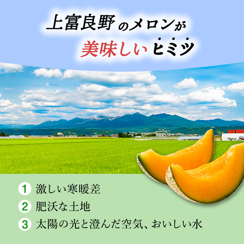 赤肉メロン JAふらの厳選！ 約1.6kg 2玉 メロン めろん 富良野メロン 果物 くだもの フルーツ 富良野 デザート 北海道