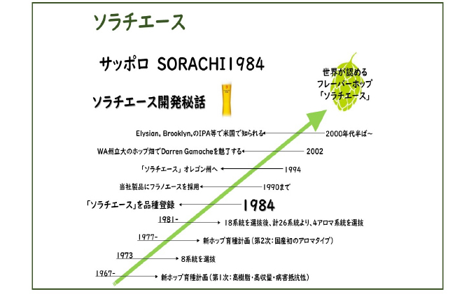 ◆定期便(全6回)◆SORACHI 1984≪ソラチ1984≫1箱（350ml×12缶）