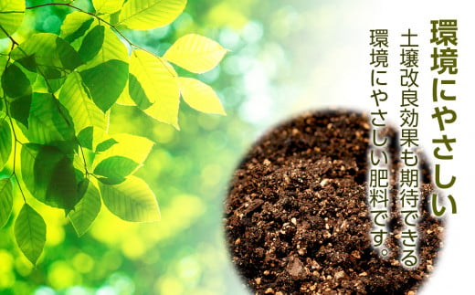 肥料 貝化石 20kg 2袋 土壌 改良 ミネラル 環境 【2024年4月以降発送】