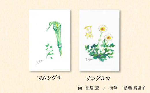 絵葉書 はがき オリジナル 5枚 ハガキ 可愛い ギフト 花 植物