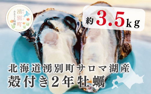 【国内消費拡大求む】≪先行予約≫北海道湧別町サロマ湖産 殻付き2年牡蠣3.5kg（約27〜35個入）かき　海鮮　魚貝　国産　貝付き　生牡蠣　生食　焼き牡蠣　蒸し牡蠣　冷蔵　産地直送　サロマ湖　オホーツク　北海道　湧別