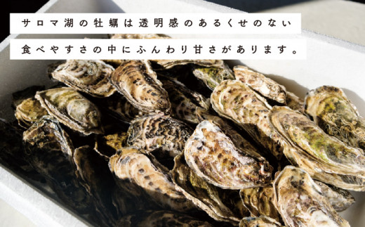 【国内消費拡大求む】[No.5930-0273]北海道サロマ湖産　殻付きかき（生食用）3.3kg　かき　海鮮　魚貝　国産　貝付き　生牡蠣　生食　焼き牡蠣　蒸し牡蠣　冷蔵　産地直送　サロマ湖　オホーツク　北海道　湧別